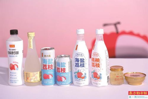 开发深加工产品助荔果农致富高州
